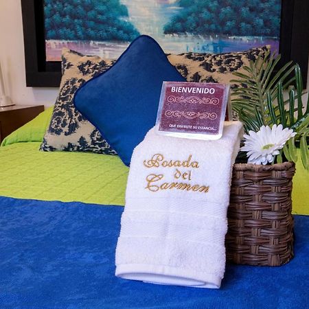 Hotel Posada Del Carmen San Luis Potosí Eksteriør billede