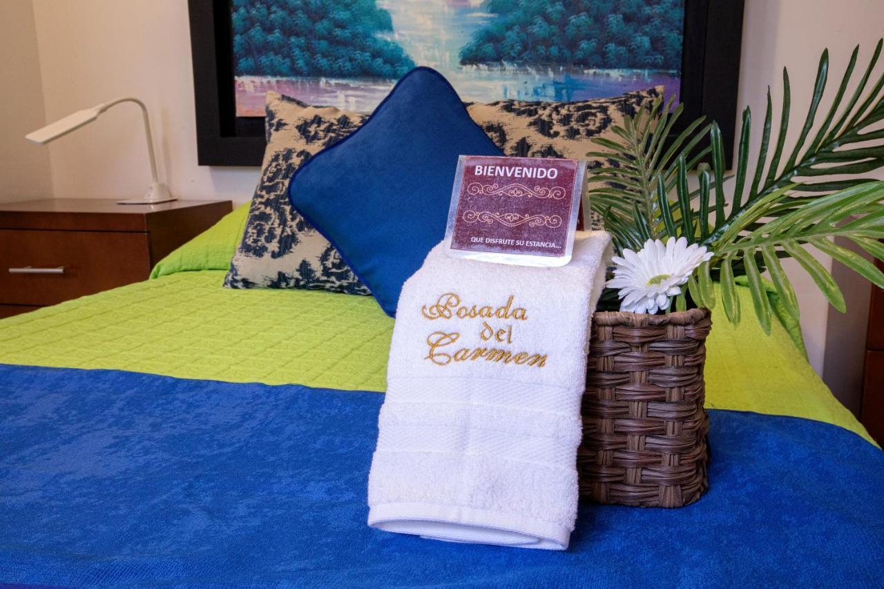 Hotel Posada Del Carmen San Luis Potosí Eksteriør billede