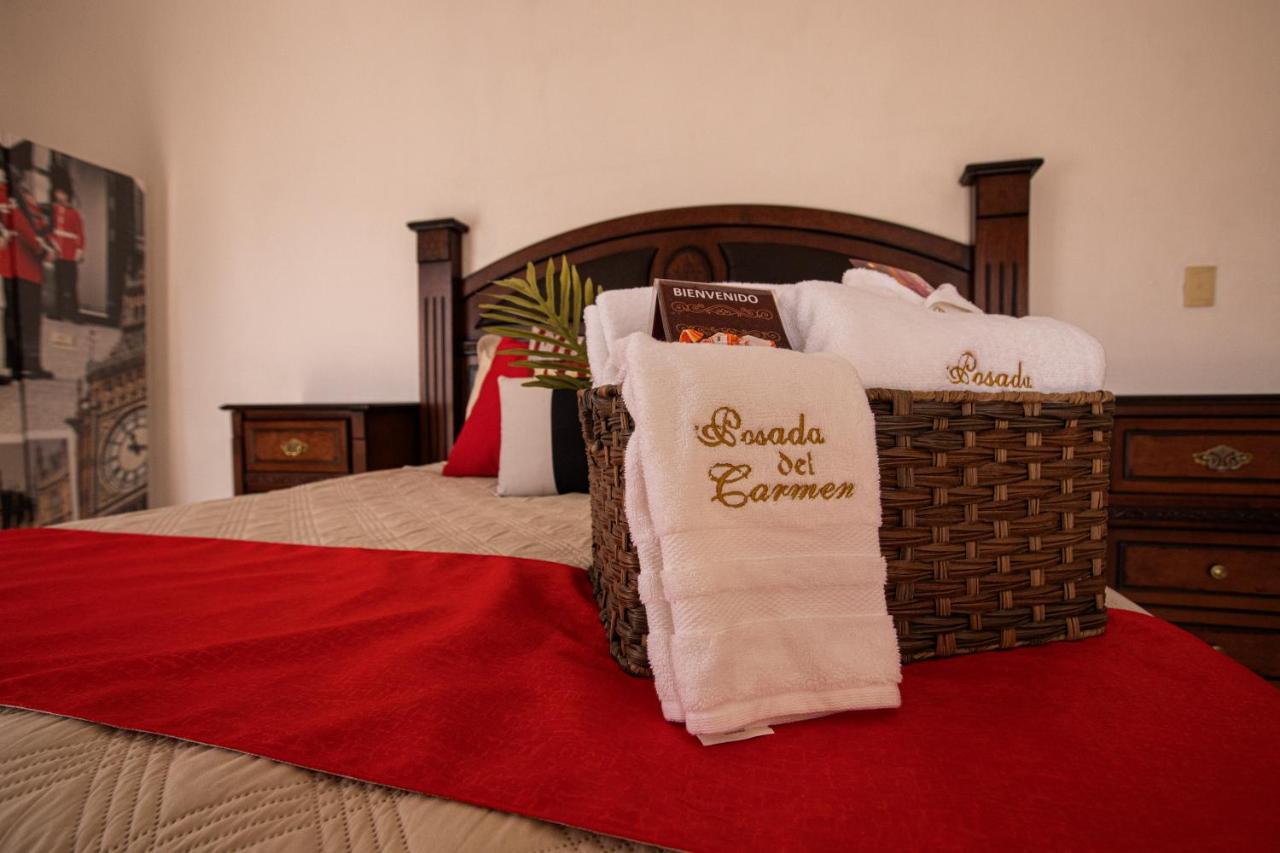 Hotel Posada Del Carmen San Luis Potosí Eksteriør billede