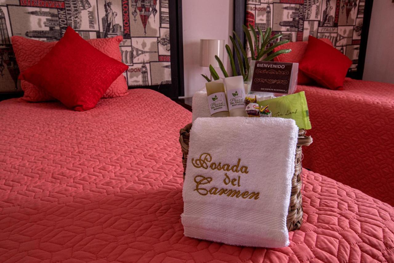 Hotel Posada Del Carmen San Luis Potosí Eksteriør billede