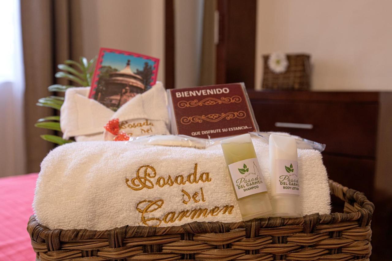 Hotel Posada Del Carmen San Luis Potosí Eksteriør billede