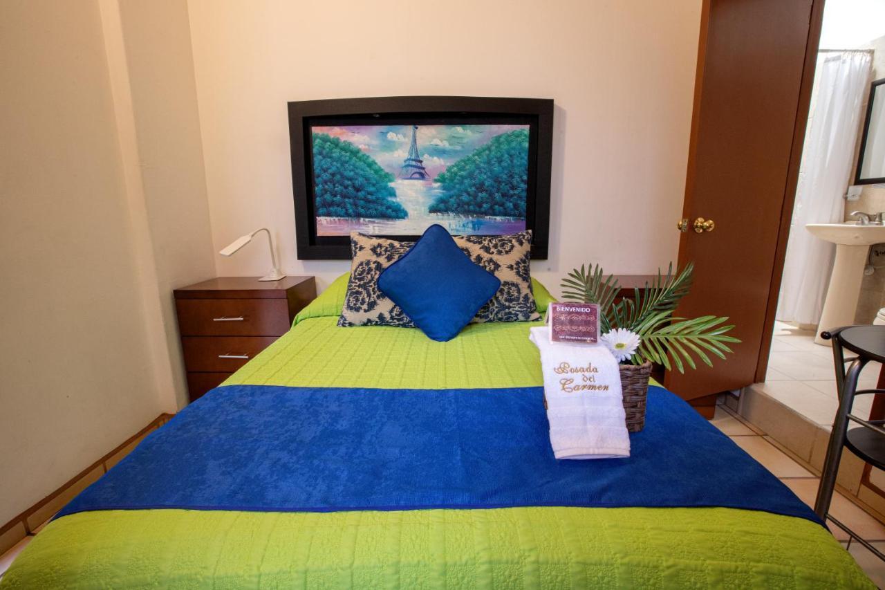 Hotel Posada Del Carmen San Luis Potosí Eksteriør billede